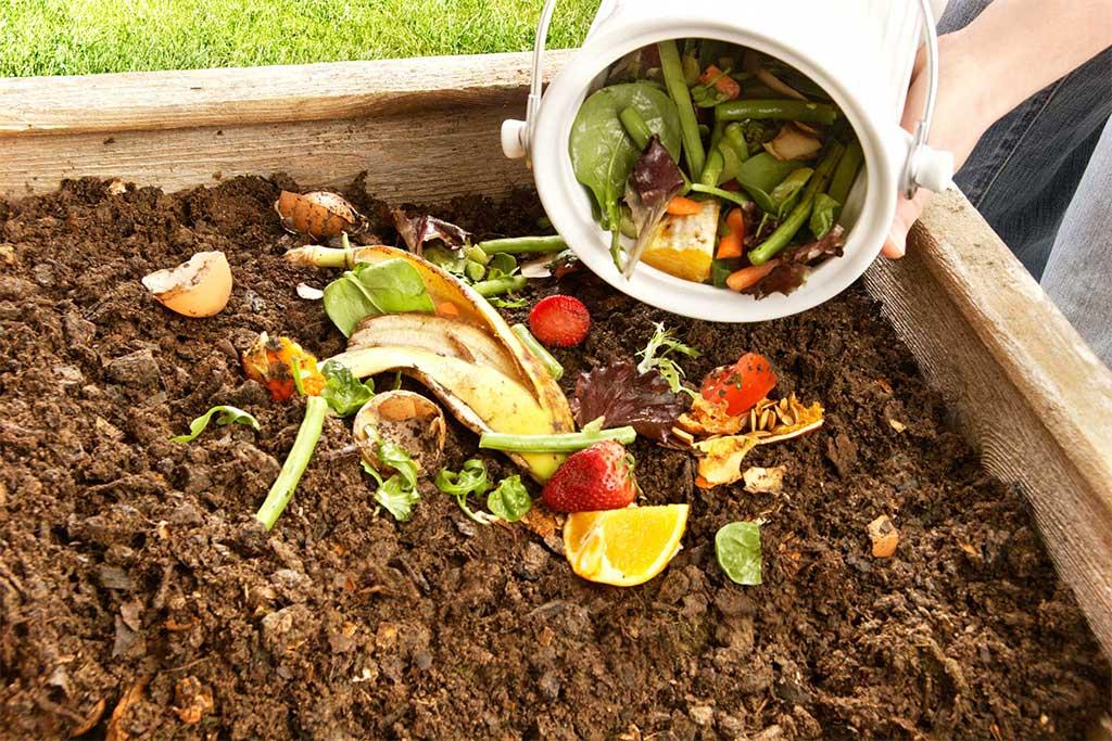 phân loại rác hữu cơ để tạo phân compost