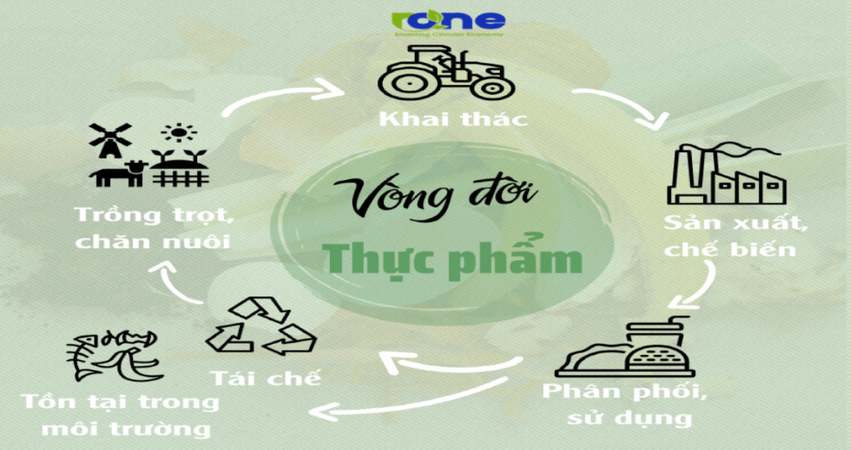 Có thể bạn chưa biết? – Câu chuyện vòng đời của rác thực phẩm