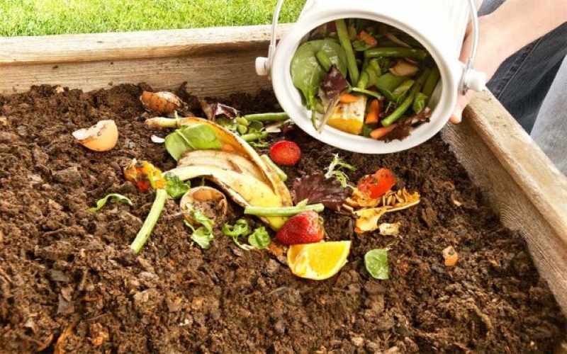 dùng phân compost để sống xanh